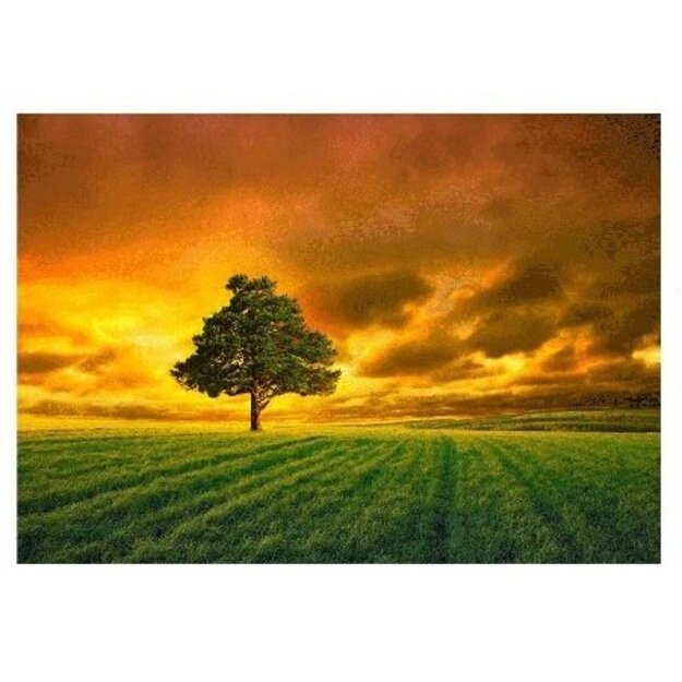 Įrėmintas fotopaveikslas 100x70cm