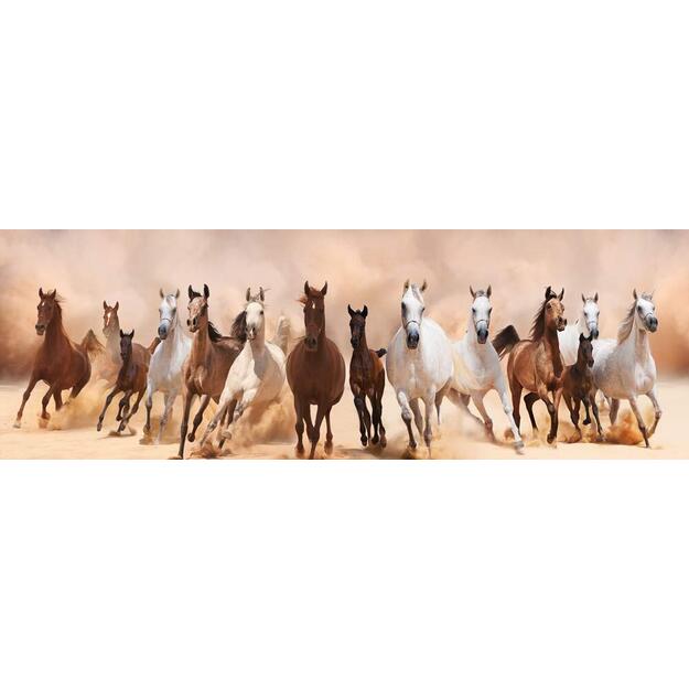 Įrėmintas fotopaveikslas 90x30cm